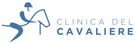 La Clinica del Cavaliere